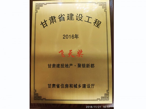 甘肃省建设工程2016年飞天奖